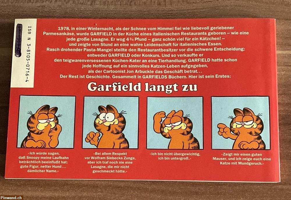 Bild 2: Garfield langt zu, zu verkaufen