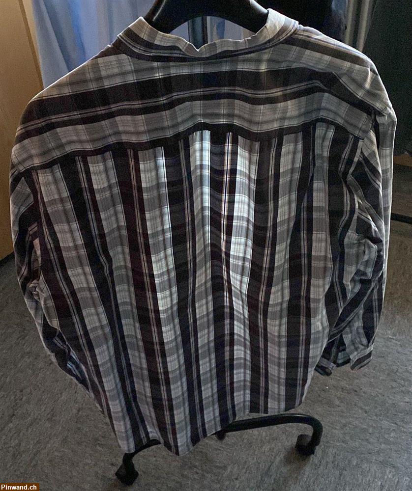 Bild 2: Gr. XL Langarm-Hemd von CASA MODA