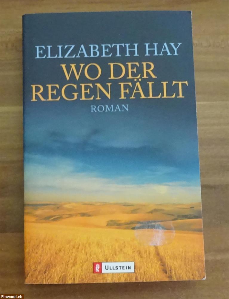 Bild 1: Wo der Regen fällt von Elizabeth Hay