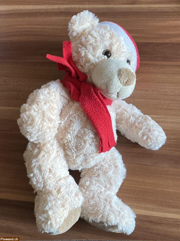 Bild 1: Eisbär mit Mütze und Schal zu verkaufen