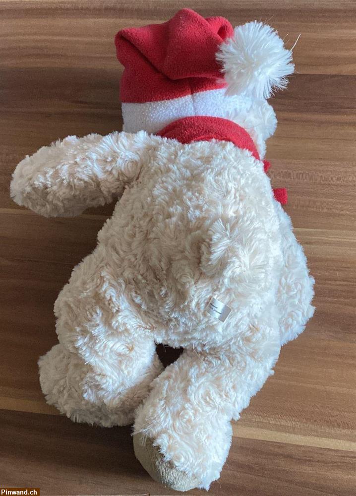 Bild 2: Eisbär mit Mütze und Schal zu verkaufen