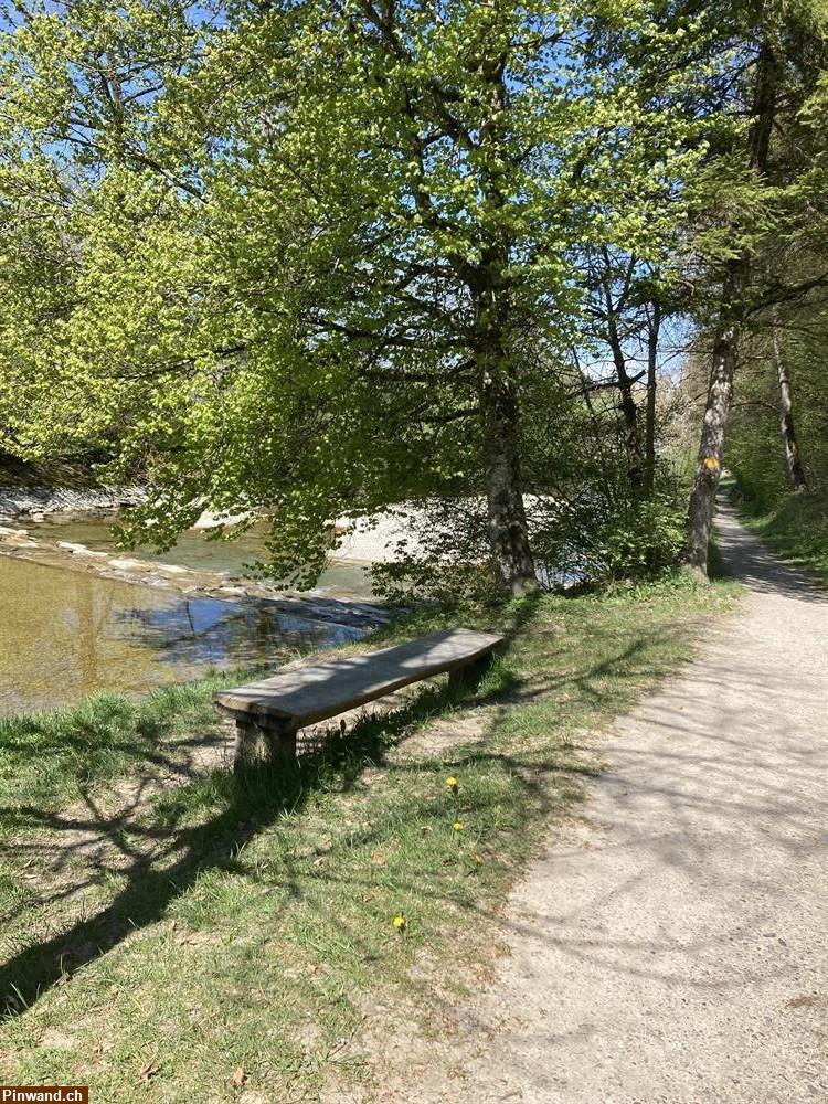 Bild 1: Hundesitting mit Herz im Raum Wila ZH