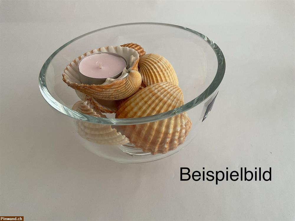 Bild 4: Muscheln braun zu verkaufen