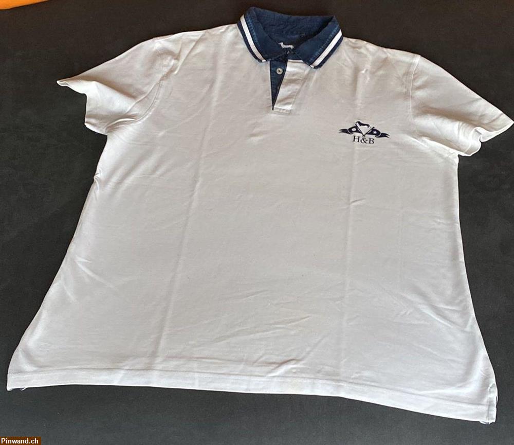 Bild 1: Gr. 2XL Poloshirt von Harmont & Blaine zu verkaufen