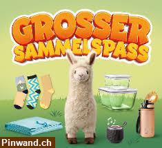 Bild 1: 17 Coop Sommerspass Märkli