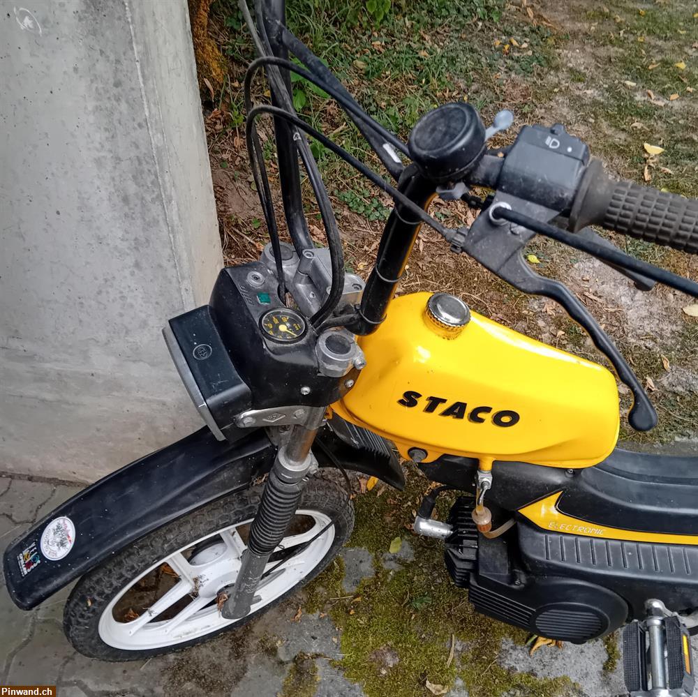 Bild 4: Occasion Mofa Staco zu verkaufen