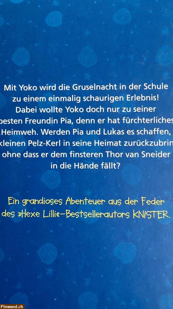 Bild 2: YOKO und die Gruselnacht im Klassenzimmer