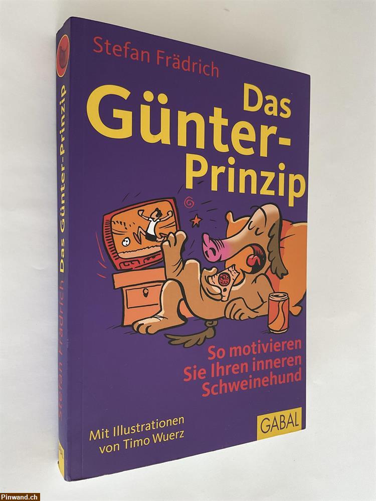 Bild 1: Stefan Frädrich: Das Günter - Prinzip