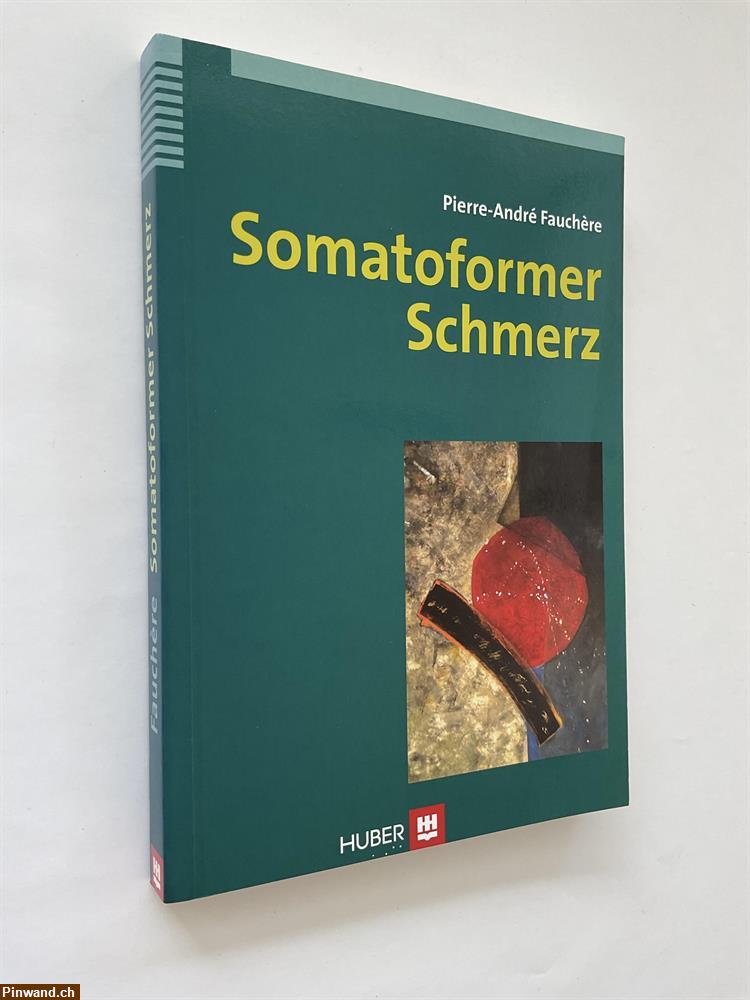 Bild 1: Pierre-André Fauchère: Somatoformer Schmerz