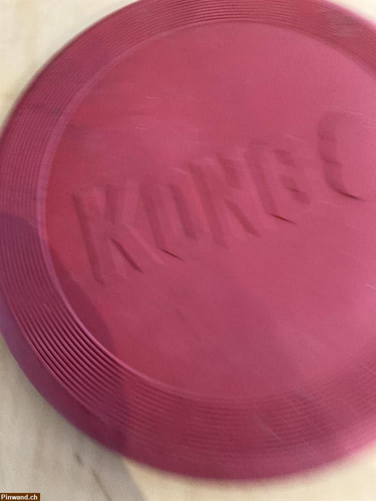 Bild 1: Hunde Frisbee zu verkaufen