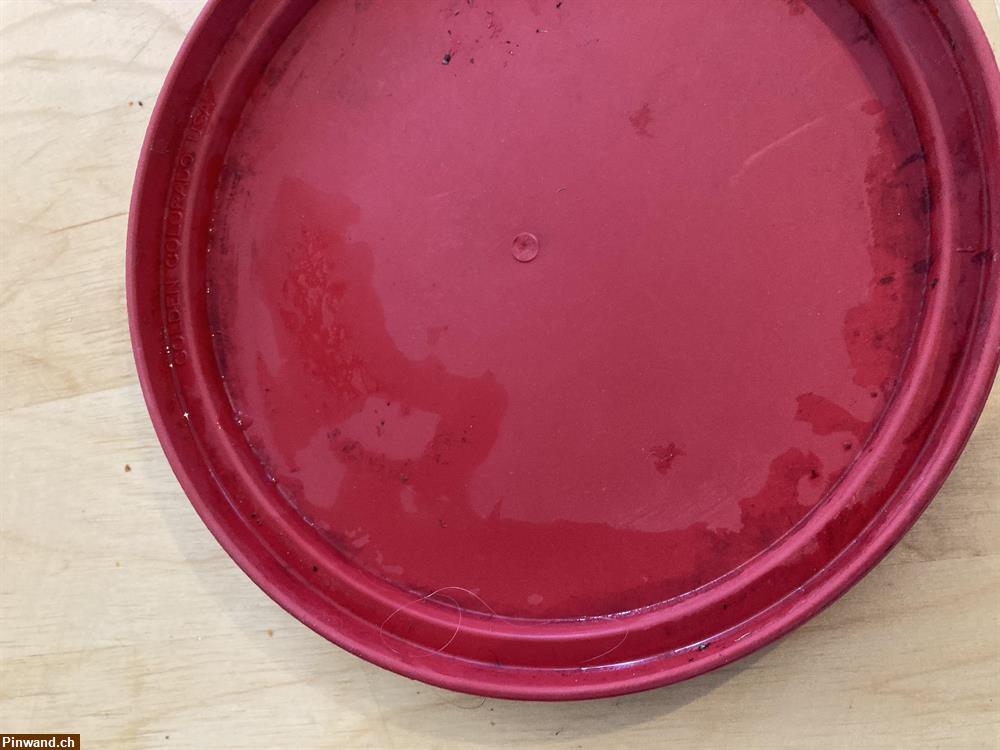 Bild 2: Hunde Frisbee zu verkaufen