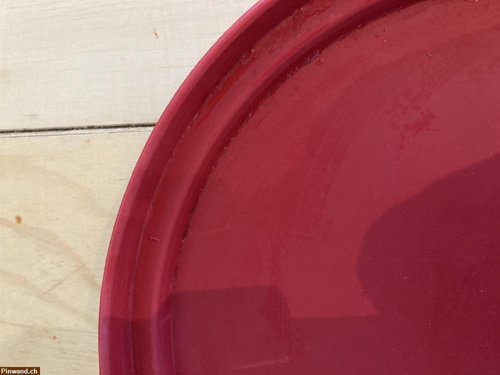 Bild 3: Hunde Frisbee zu verkaufen