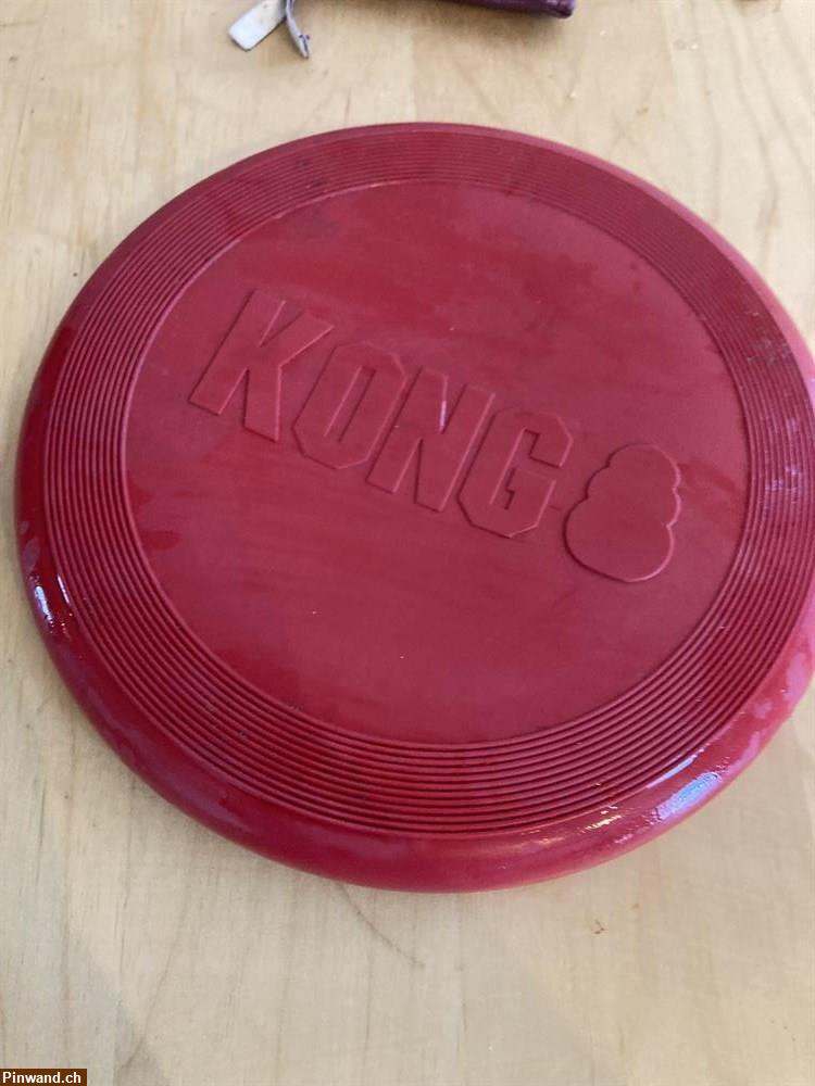 Bild 4: Hunde Frisbee zu verkaufen