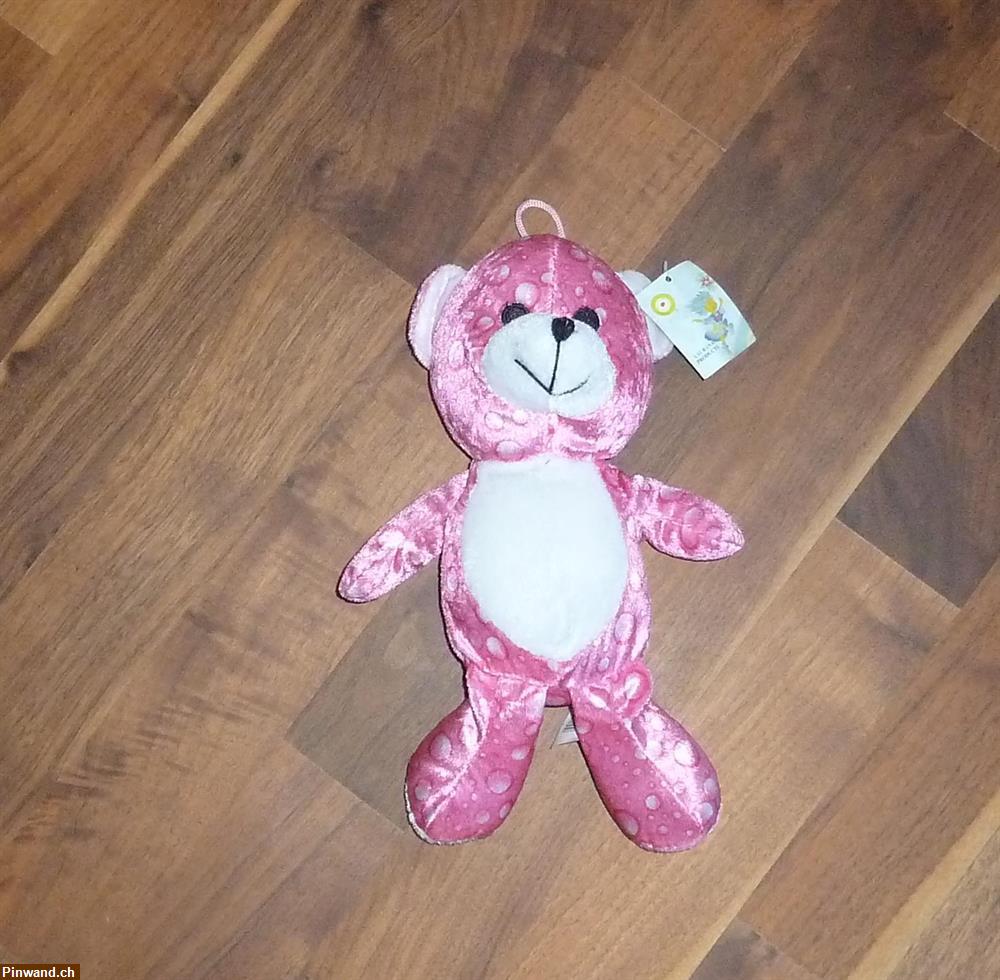 Bild 1: Teddy von Laurana zu verkaufen