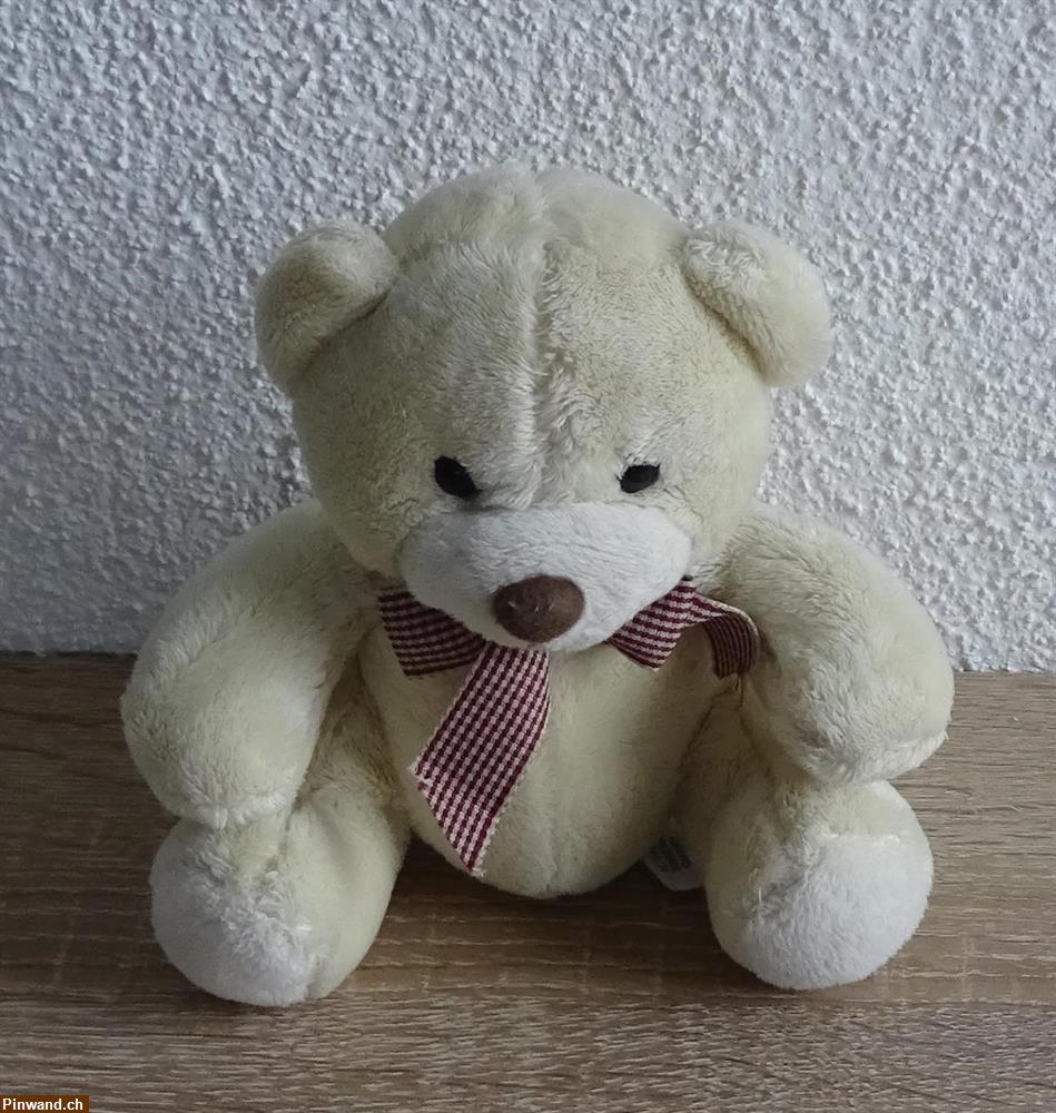 Bild 1: kuscheliger Teddy zu verkaufen