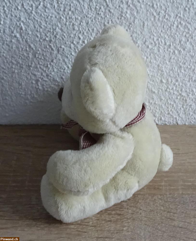 Bild 2: kuscheliger Teddy zu verkaufen