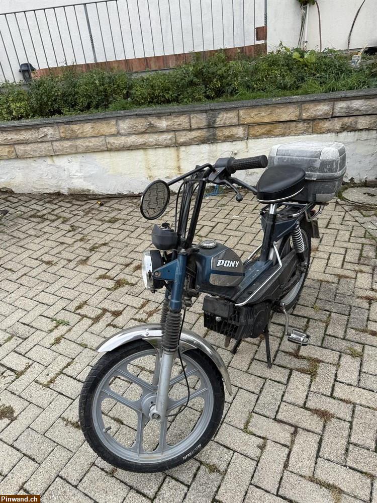 Bild 3: Motorrad Pony 2-gängig zu verkaufen