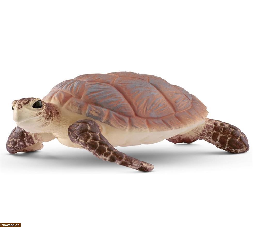 Bild 1: Schleich 14876 Echte Karettschildkröte zu verkaufen