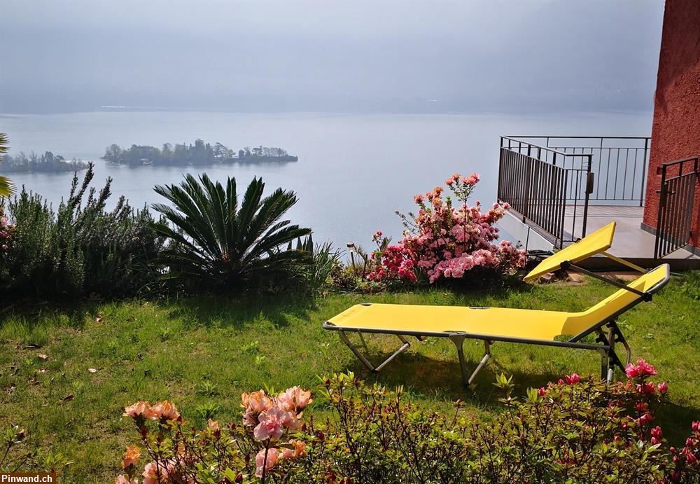 Bild 6: Ferienwohung mit Top-Aussicht über den Lago Maggiore