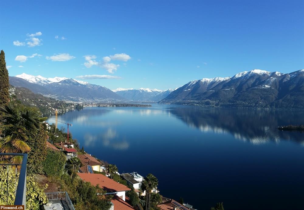 Bild 7: Ferienwohung mit Top-Aussicht über den Lago Maggiore