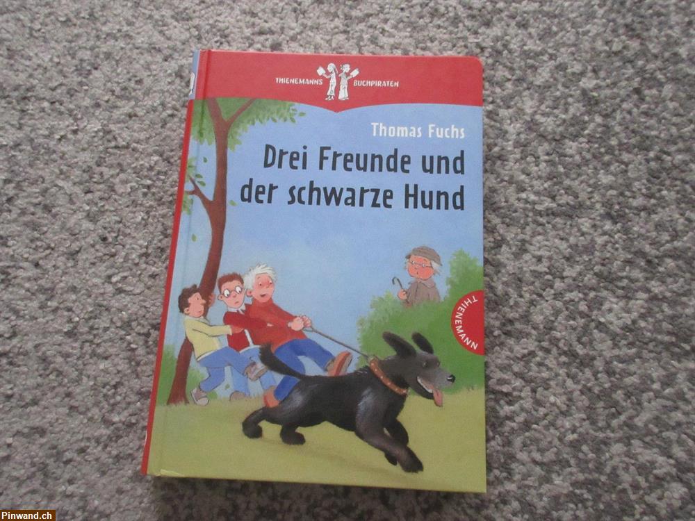 Bild 1: Drei Freunde und der schwarze Hund zu verkaufen