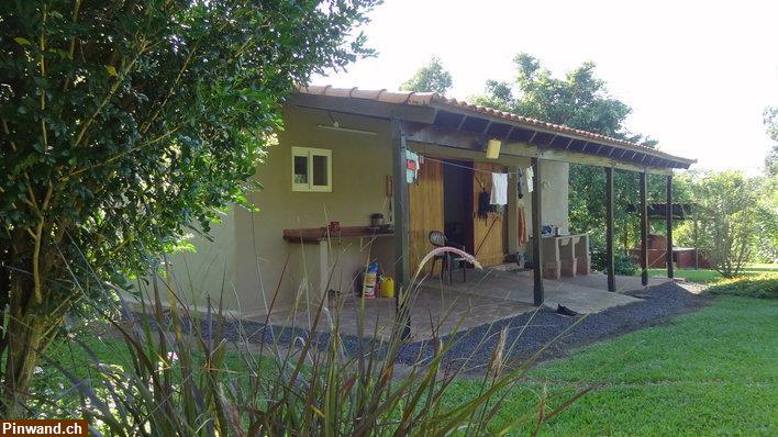Bild 3: Finca mit großem Grundstück in ruhiger Lage in Sapucai / Paraguay