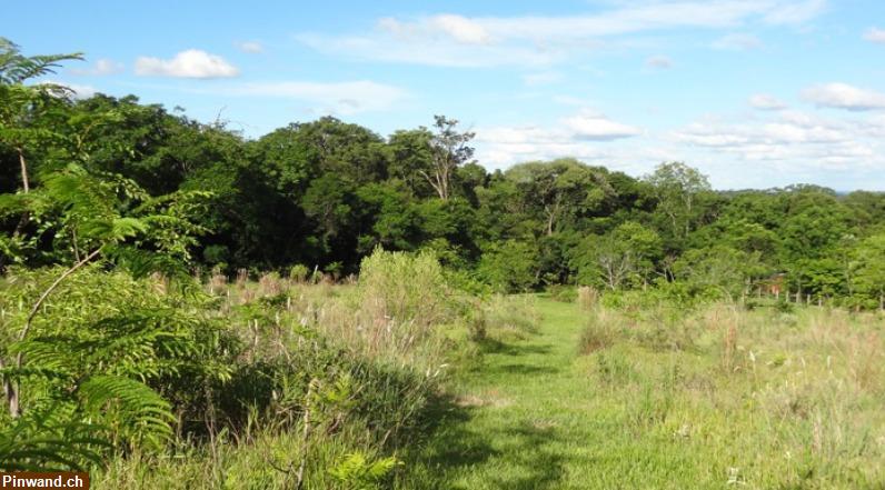 Bild 5: Finca mit großem Grundstück in ruhiger Lage in Sapucai / Paraguay