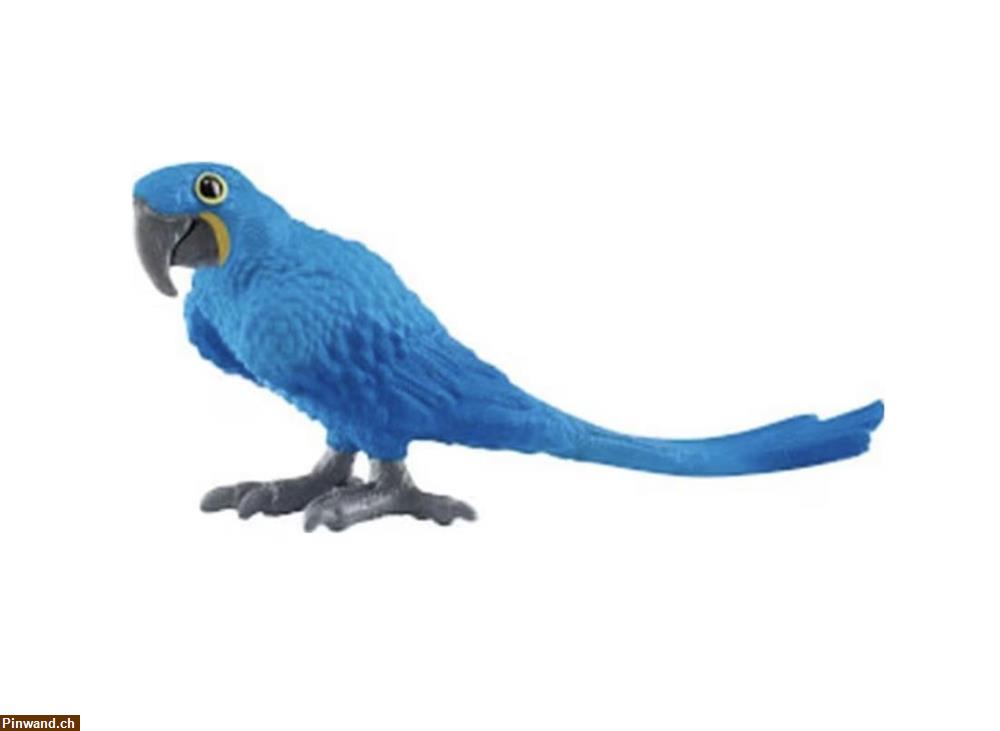 Bild 1: Schleich Hyazinth Ara zu verkaufen