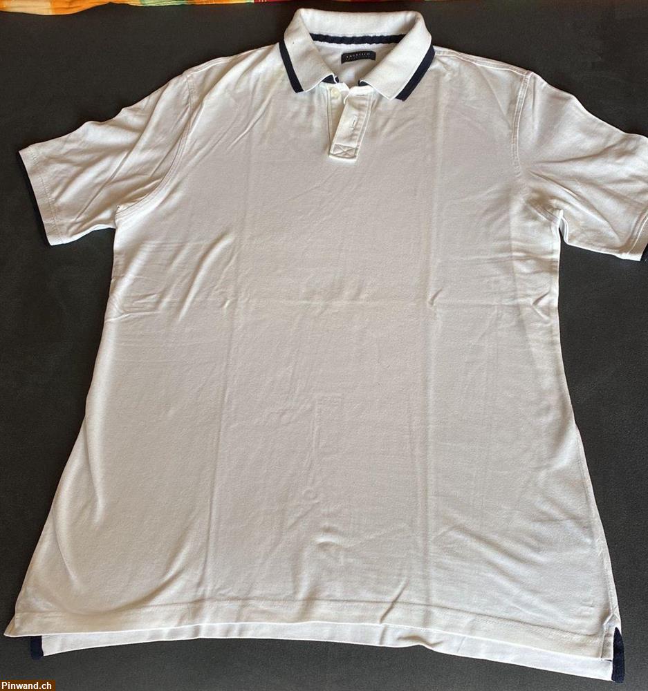 Bild 1: Gr. XXL Poloshirt von Angelico zu verkaufen