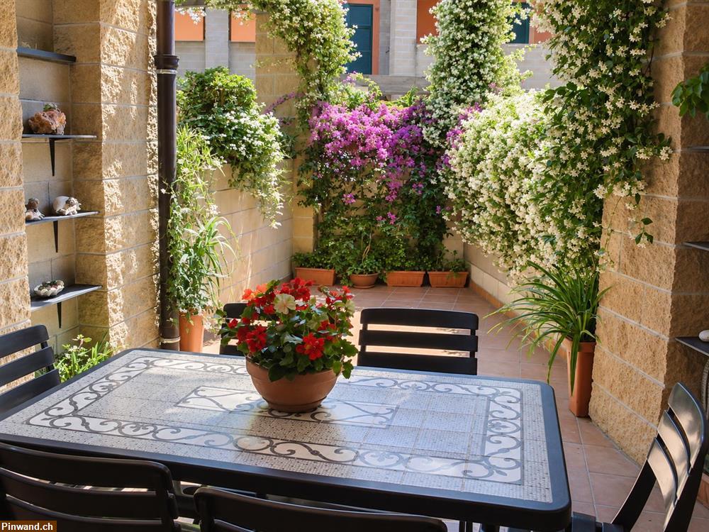 Bild 1: Sestri Levante – geräumiges Studio zu vermieten