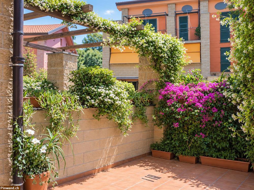 Bild 7: Sestri Levante – geräumiges Studio zu vermieten