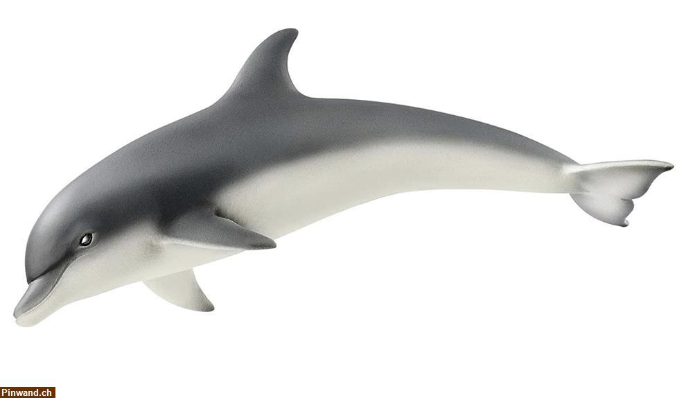 Bild 1: Schleich 17100 Delfin zu verkaufen