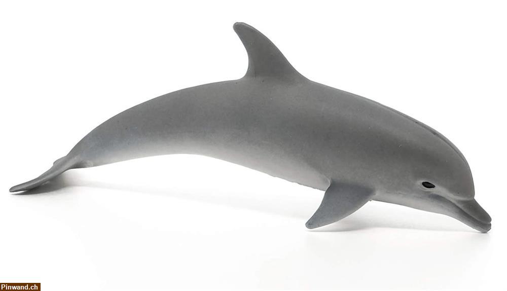 Bild 2: Schleich 17100 Delfin zu verkaufen