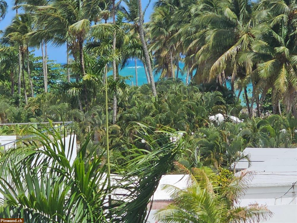 Bild 11: Penthouse mit atemberaubendem Panoramablick in Las Terrenas, Dominikanische Republik