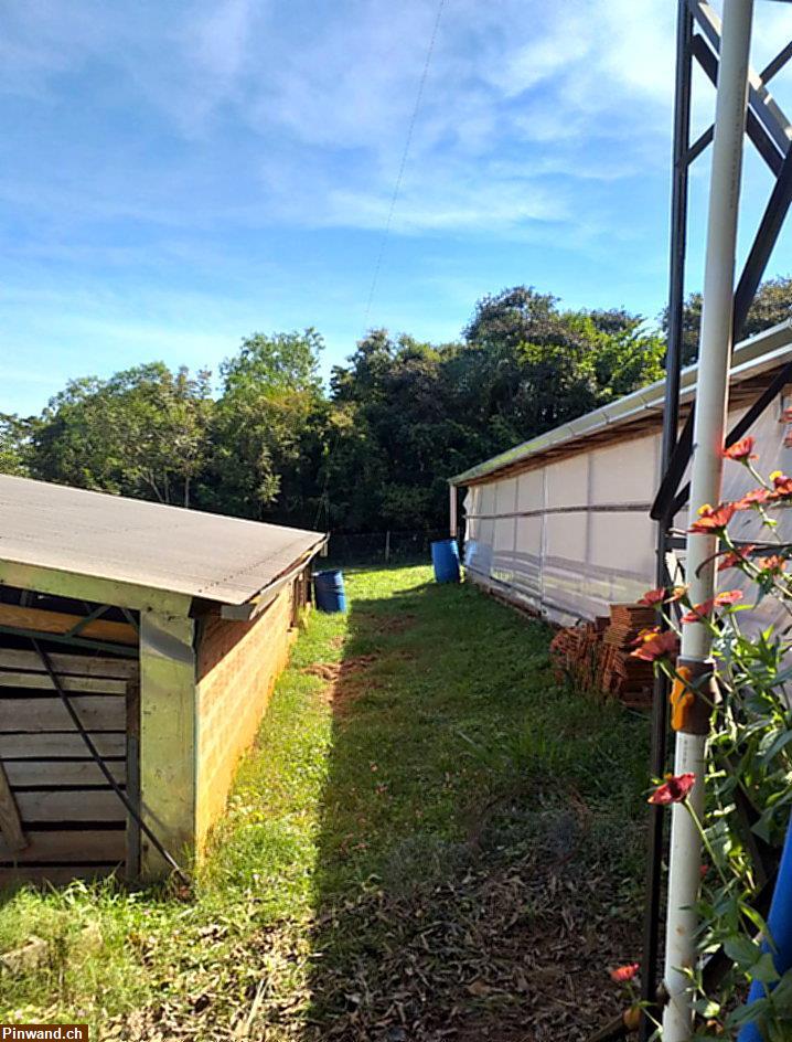 Bild 5: Verkauf: Haus mit großem Grundstück in Aguapety / Paraguay