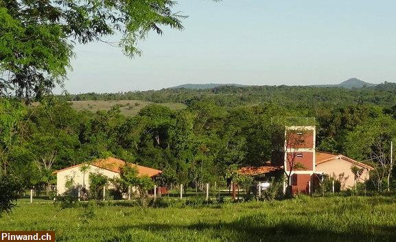 Bild 2: Verkauf: Finca mit großem Grundstück in ruhiger Lage in Sapucai / Paraguay