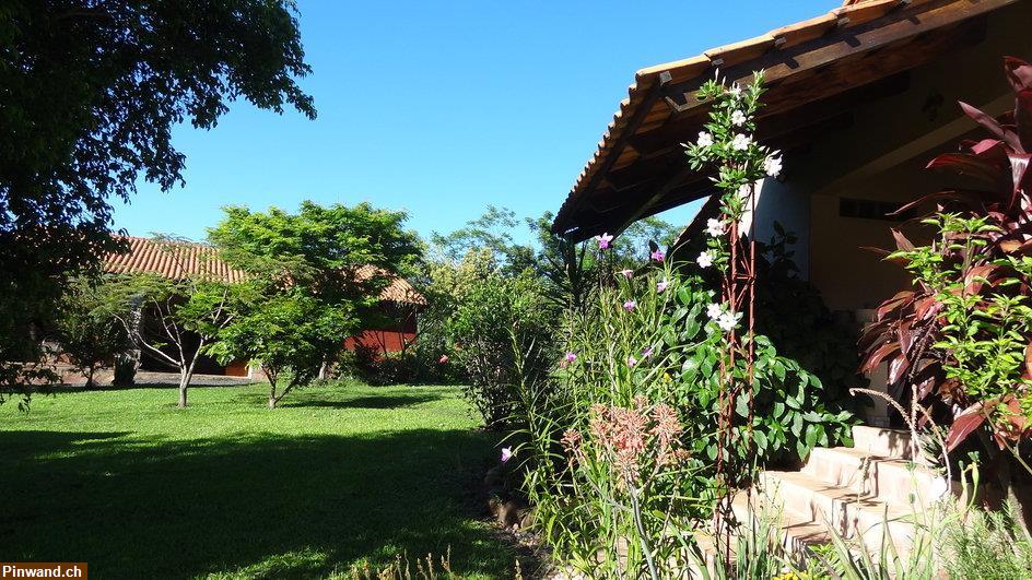 Bild 3: Verkauf: Finca mit großem Grundstück in ruhiger Lage in Sapucai / Paraguay
