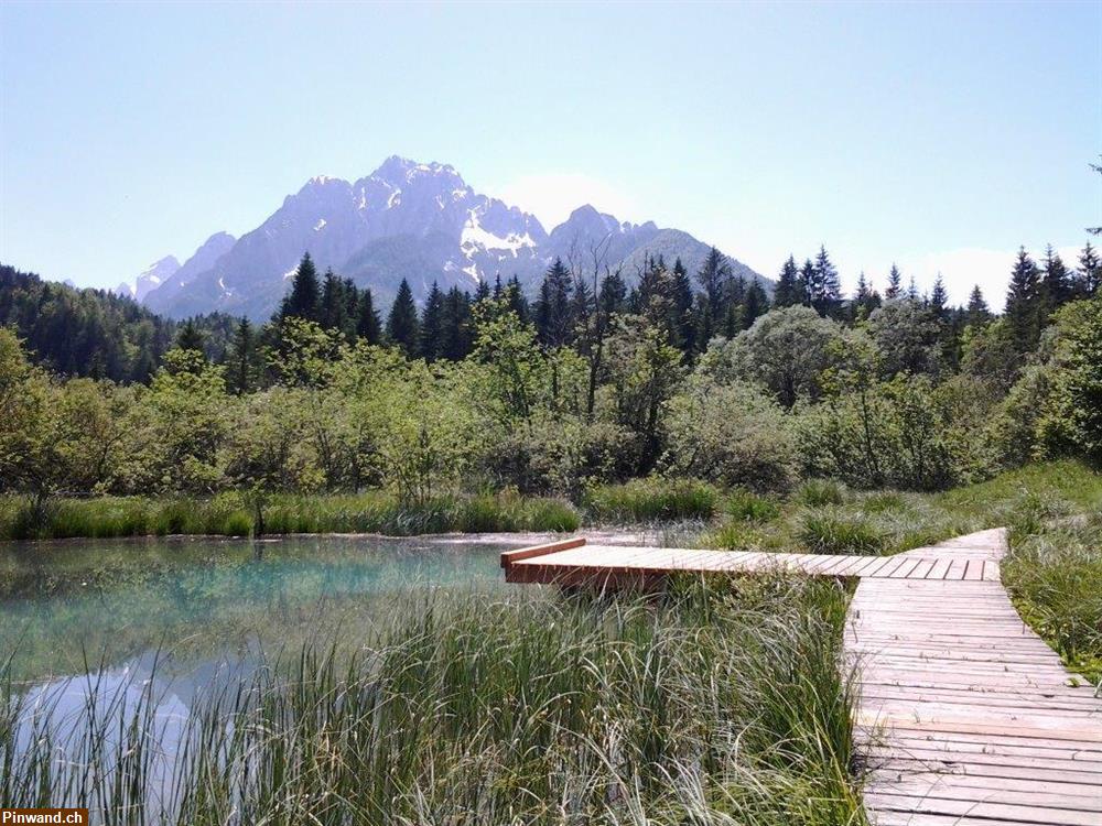 Bild 7: Ihre Unterkunft für einen unvergesslichen Urlaub in Oberkrain - Schweizerhaus Alexandra ****