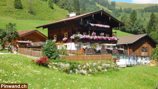 Bild 1: Günstige Ferienwohnungen in Österreich zu vermieten