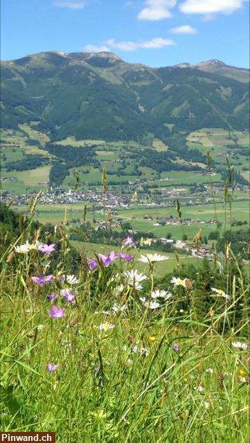 Bild 4: Günstige Ferienwohnungen in Österreich zu vermieten